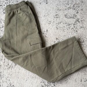 Aritzia Sage Cargo Pants